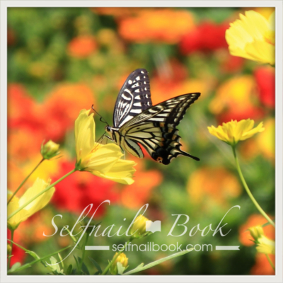 蝶ネイルの描き方 エッジィな大人アートで魅せるバタフライ柄のやり方 セルフネイラー向けジェルネイルbook